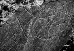 Late Palaeolithic rock art in the Coa Valley in Portugal. Note the similarity in style - and the horse! Source: Henrique Matos, Wikimedia Commons