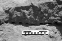 Chisel holes left in a failed attempted to induce a fracture along the base of a block in the Middle Kingdom Wadi Shatt el-Rigal sandstone quarry near Gebel el-Silsila. Note the chisel tracks above the holes, apparently made by the same tool that produced the holes. Smallest scale division is 1 cm. Photo by JAMES HARRELL.