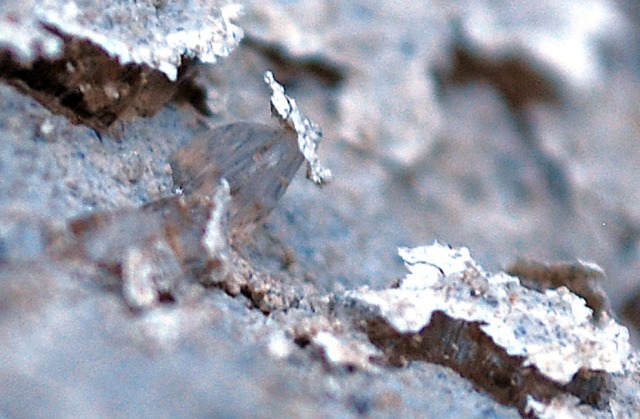 Minute frost heaving in lime mortar, hardly photographed before. The ice crystal lifting the mortar flake at the centre is about 2 mm high. Note much ice below other flakes. Photo by Per Storemyr